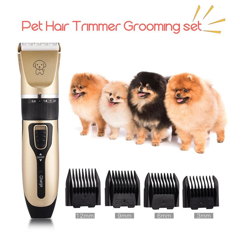 Professional Dog Trimmer