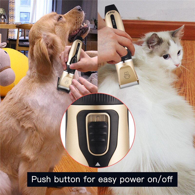 Professional Dog Trimmer