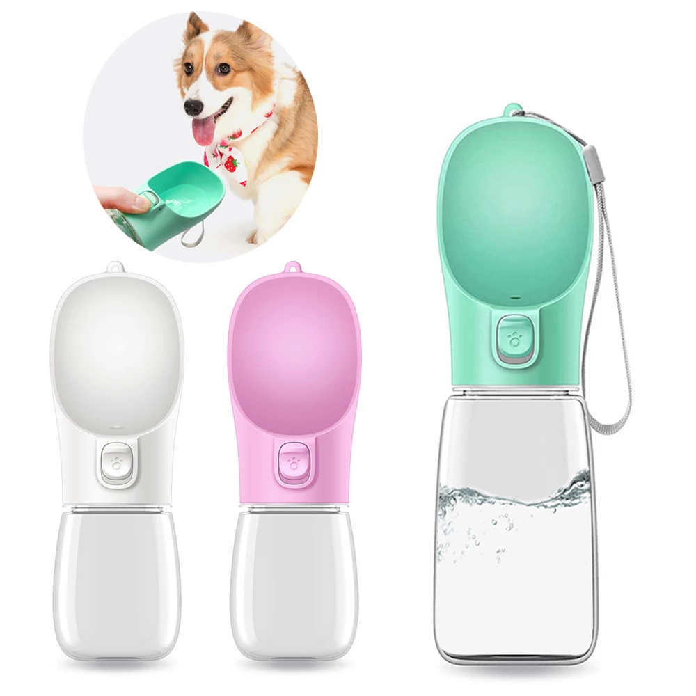 Portable Water Dispenser