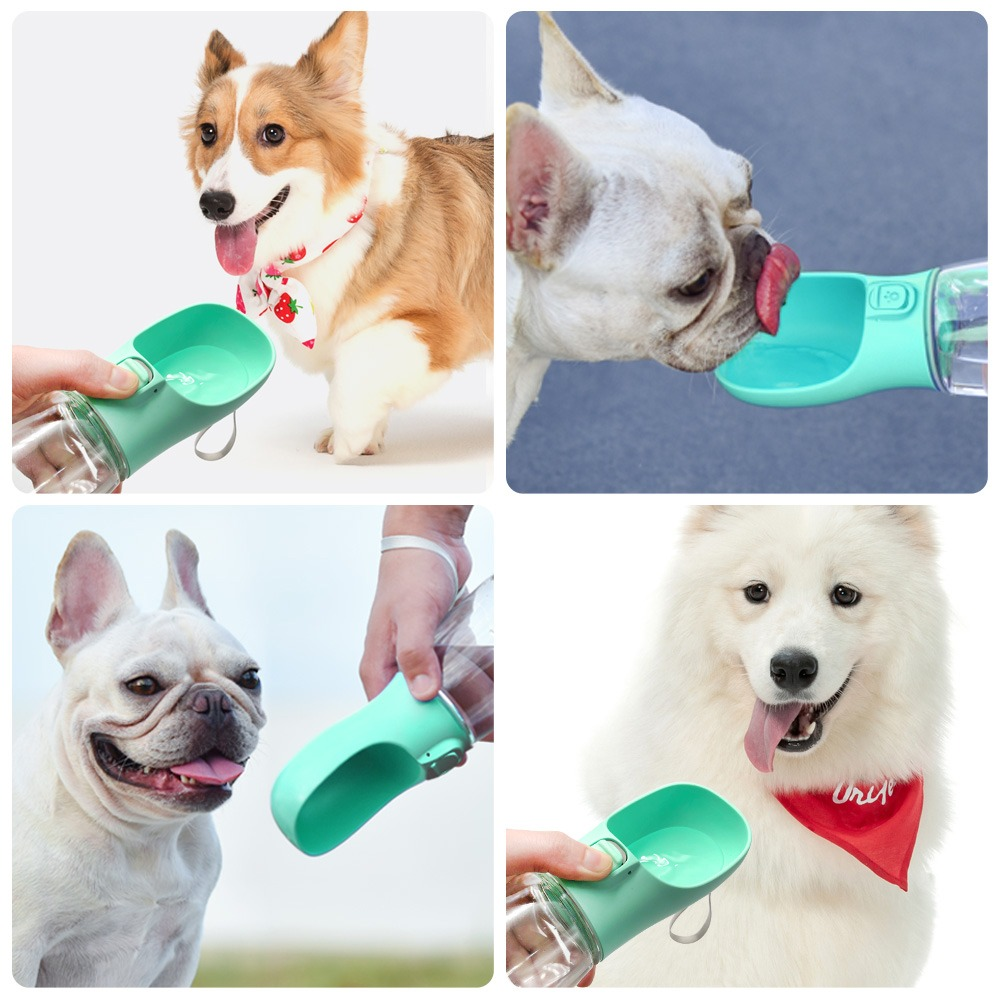 Portable Water Dispenser